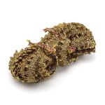 Тесьма вязаная отделочная 10 м, С721 (золотой)