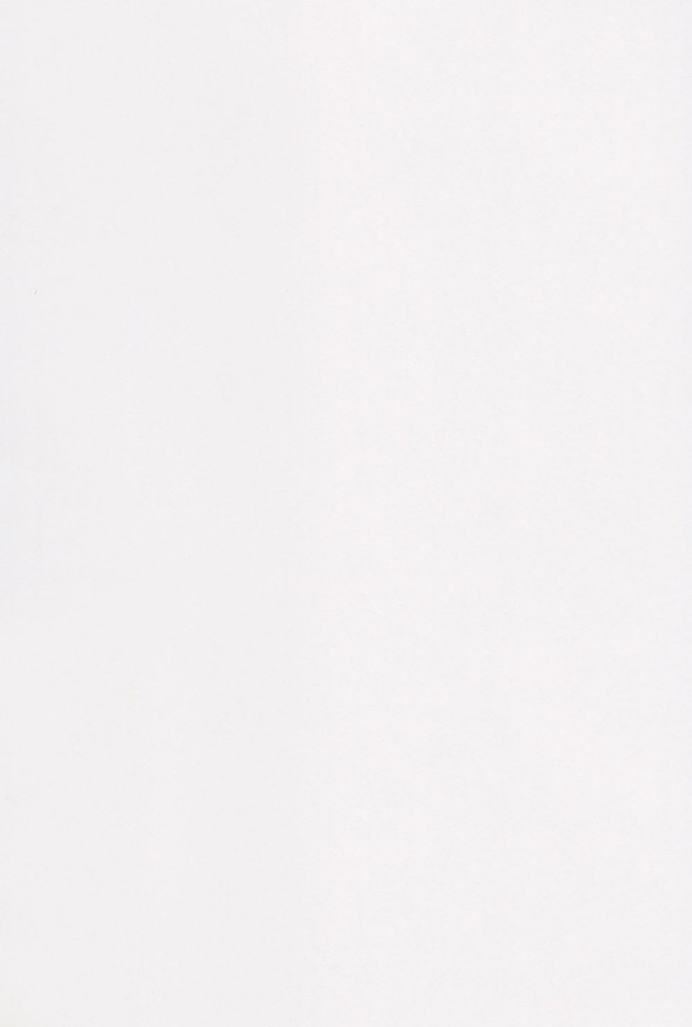 Альбом для эскизов 180 г/м², А4 склейка 20 л, Бристоль/Bristol paper, Vista-Artista DSBS-A4