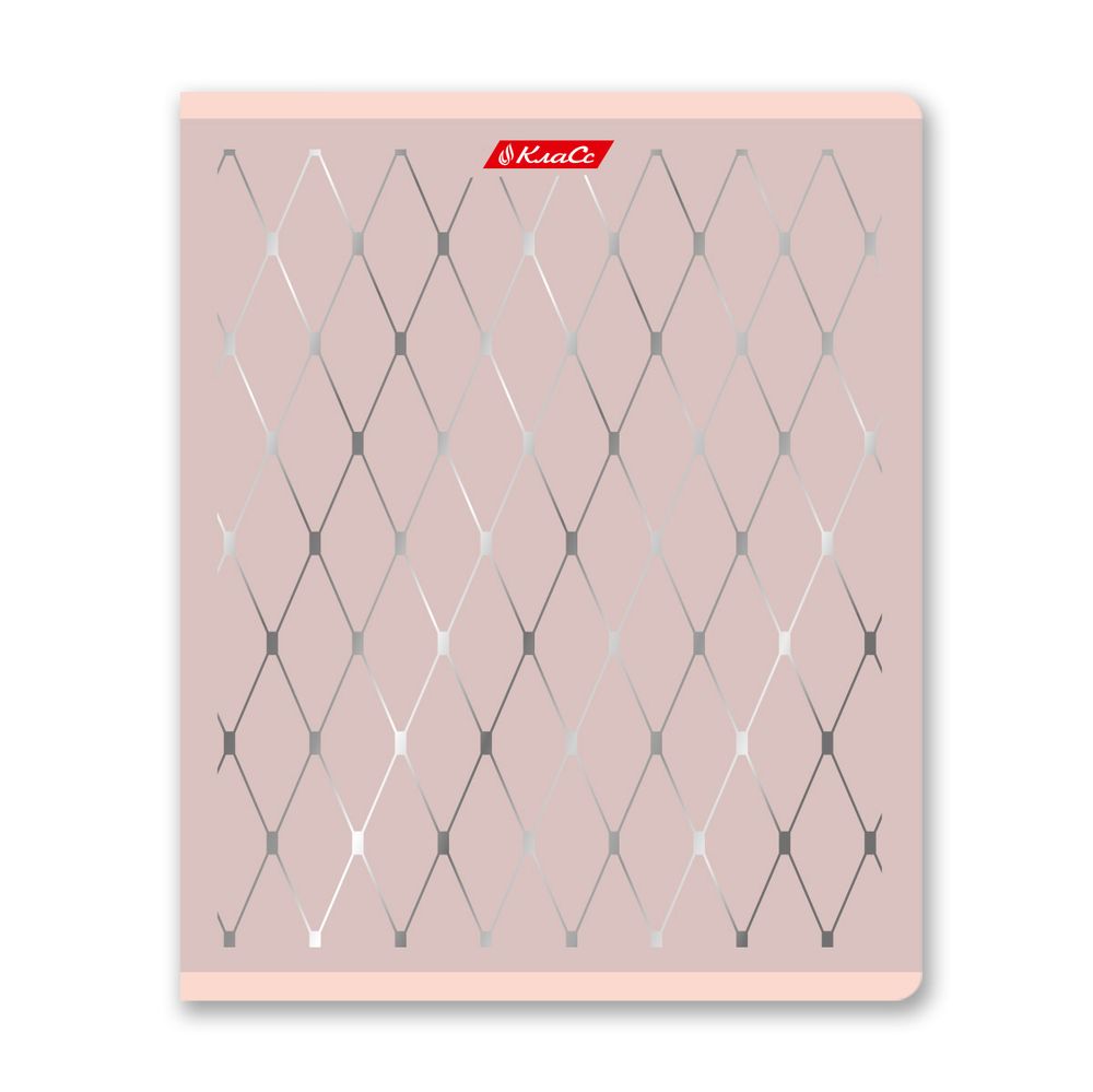 Тетрадь ученическая общая, матовая ламинация + тиснение серебряной фольгой, A5+ 48 л. на скобе 65 г/м², белизна 100%, 10 шт, клетка в термоусадочной пленке, 000743 Серебряная мечта, Светоч 48ТЕТк-007