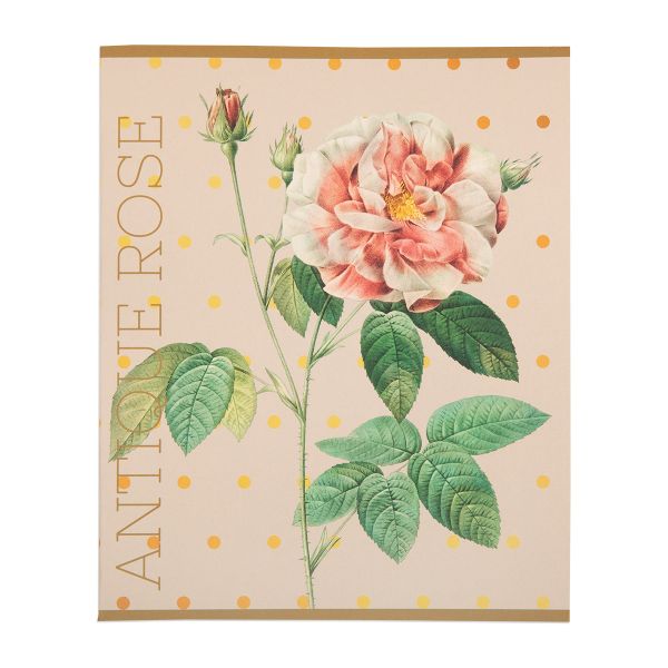 Тетрадь Цветы A5 48 л. на скобе 60 г/м², 10 шт, клетка, SVT 481421 01 бежевый, Светоч