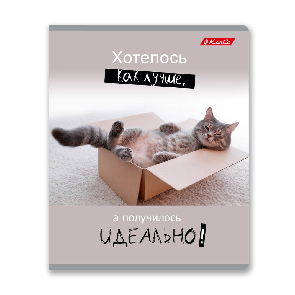 Тетрадь ученическая общая, A5+ 48 л. на скобе 65 г/м², белизна 100%, 10 шт, клетка в термоусадочной пленке, 000752 Смешные и шерстяные, Светоч 48ТЕТк-001