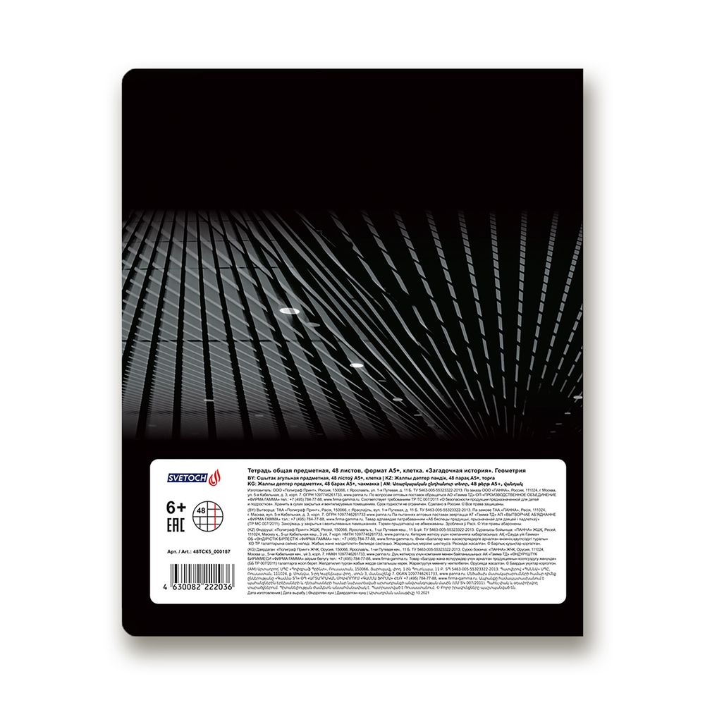 Тетрадь предметная Загадочная история A5+ 48 л. на скобе, белизна 100%, 10 шт, клетка, 48ТСК5/000187 Геометрия, Светоч