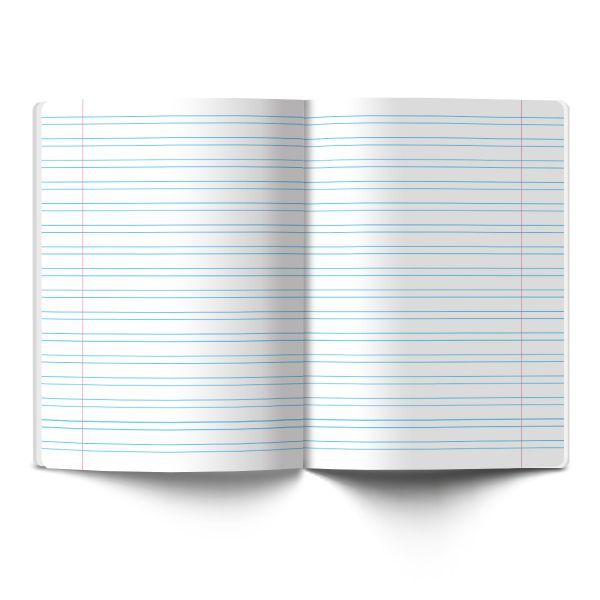 Тетрадь ученическая школьная Классная A5+ 12 л. на скобе 65 г/м², белизна 100%, 25 шт, узкая линия, 000287 Зеленая, Светоч 12ТСК5_1_1_4