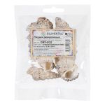 Ракушки декоративные, 5 шт, 9.5 см, Cerethium Nodolosum Asstd, Zlatka DRF-033