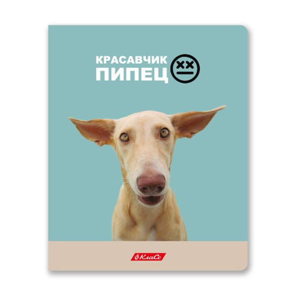 Тетрадь ученическая общая, A5+ 48 л. на скобе, белизна 100%, 10 шт, клетка, 000334 Ужасно милые, Светоч 48ТСК5_3_1