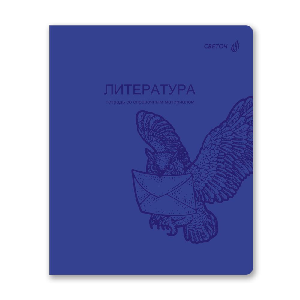 Комплект тетрадей со справочными материалами Яркость по расписанию, с запечат.пластик.обл. 320мкм A5 48 л. 12 шт на скобе 65 г/м², белизна 100% 1 шт клетка/линия, 01888 12 предметов, Светоч Т299