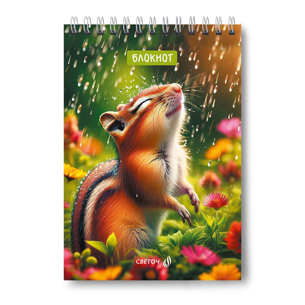 Блокнот на гребне, выборочный лак, A5 60 л., 4 шт, клетка, Лесными тропками 01257, Светоч Б131