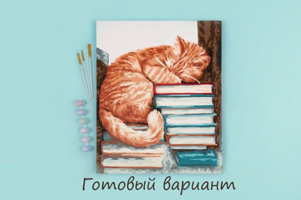 Картина по номерам Фрея, Мудрый кот, 50х40 см