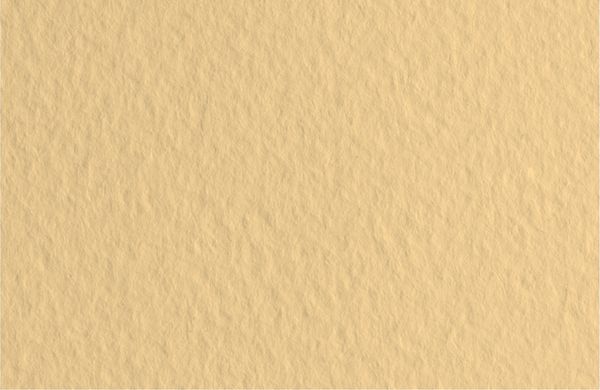 Бумага для пастели 160 г/м², 50х65 см, 10 листов, Zabainoe/Кремовый насыщенный, Fabriano