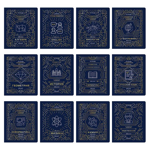 Комплект тетрадей со справочным материалом Линия успеха, софт тач ламинация + тиснение фольгой, A5+ 48 л. 12 шт, на скобе 65 г/м², белизна 100 %, клетка/линия, 01051 12 предметов, Светоч 48К35