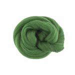 Шерсть для валяния (до 29 мкр), 50 г. 1362 киви, Gamma TFS-050