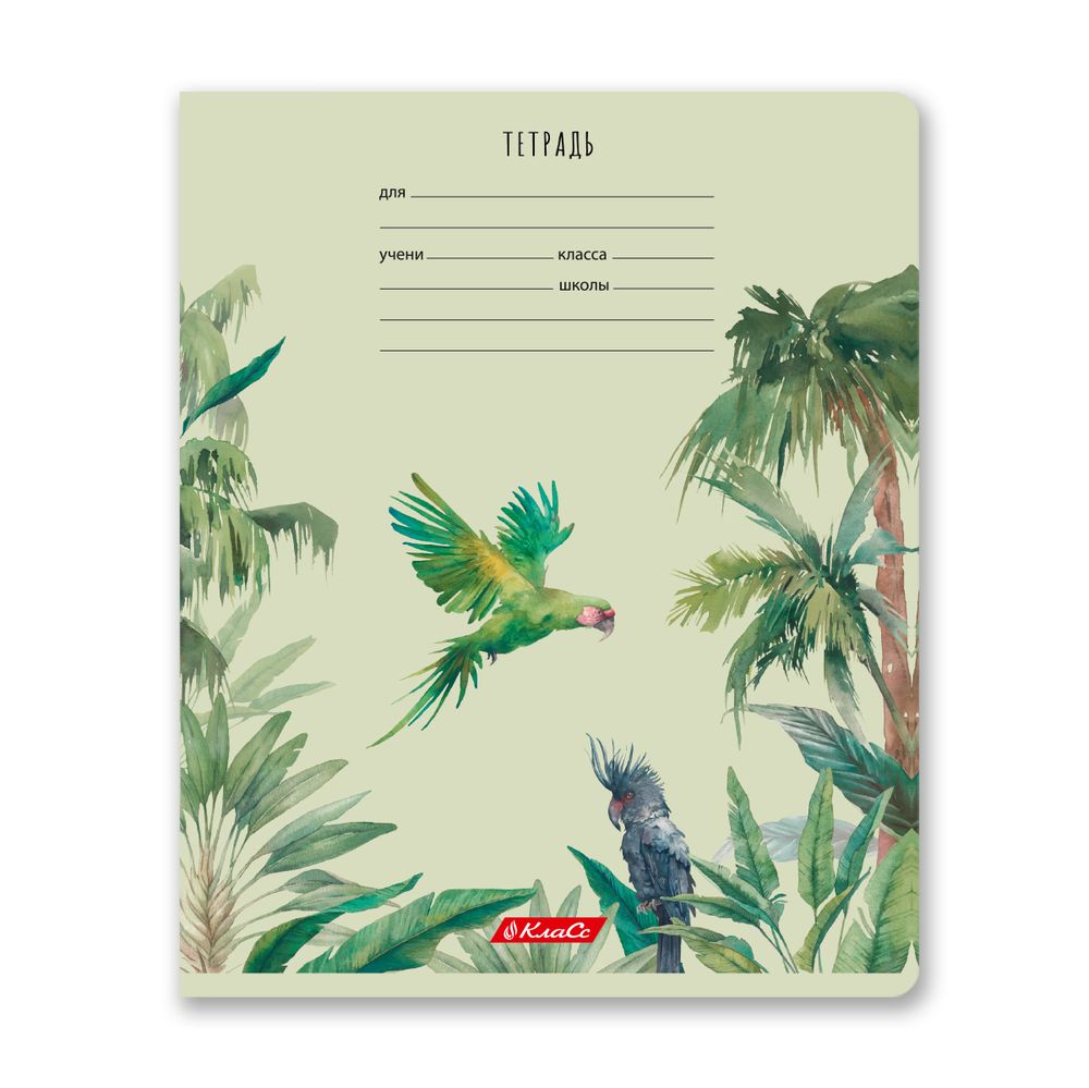 Тетрадь ученическая школьная, A5+ 24 л. на скобе 65 г/м², белизна 100% 30 шт, клетка, 000721 Саванна, Светоч 24ТЕТк-001