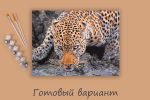 Картина по номерам Фрея PNB/PMC-193, Взгляд хищника, (цветной холст) 40х30 см