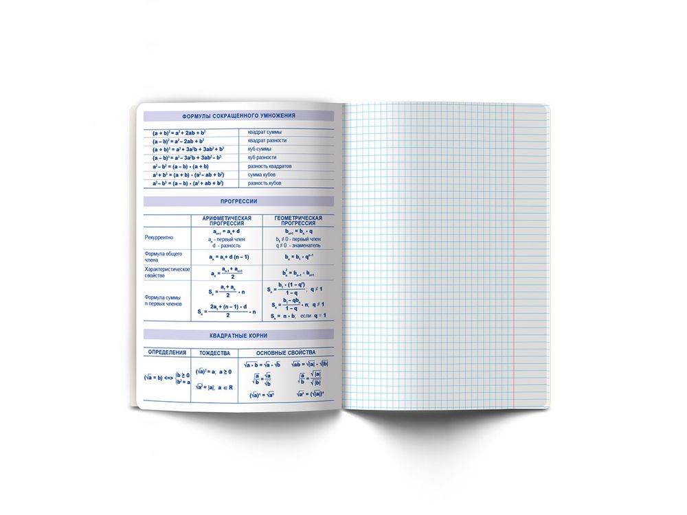 Тетрадь со справочным материалом Яркие краски, матовая ламинация +выбор. лак, A5+ 48 л. на скобе 65 г/м², белизна 100%, 10 шт, клетка, 00863 Алгебра, Светоч 48Т9
