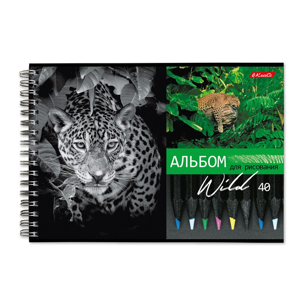 Альбом для рисования, 100 г/м², A4 29х20.5 см, на гребне 40 л., 6 шт, 40АЛГР4_000244 Саванна, Светоч