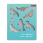 Тетрадь ученическая общая, A5+ 48 л. на скобе, белизна 100%, 10 шт, клетка, 000317 Почилим!, Светоч 48ТСК5_3_1