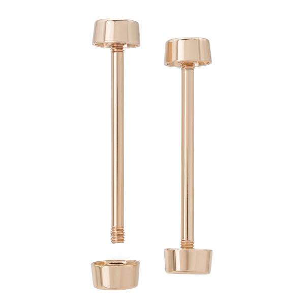 Шпилька для сумки 38/10 мм с таблеткой ⌀10 мм, металл, светлое золото, 10 шт