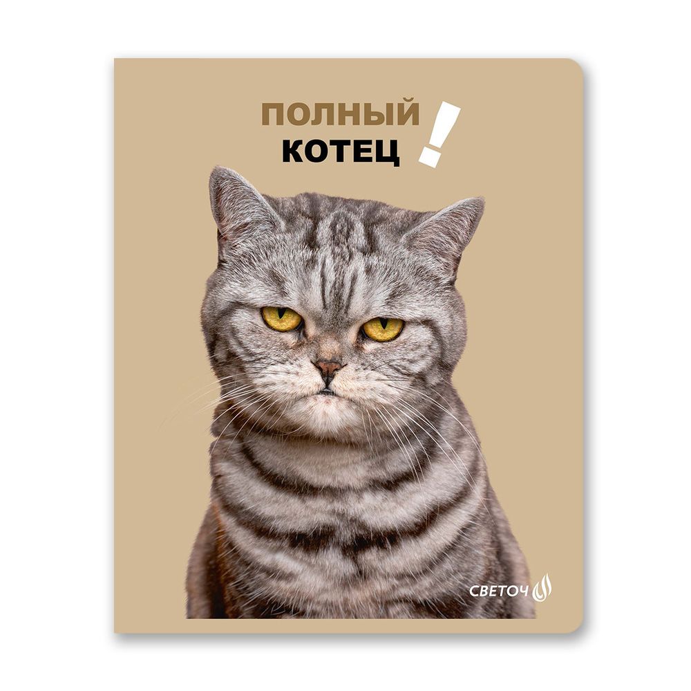 Тетрадь ученическая общая, глянцевая ламинация, A5+ 48 л. на скобе 65 г/м², белизна 100 %, 10 шт, клетка, 00997 Полный котец!, Светоч 48Т11
