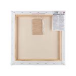 Холст грунтованный на подрамнике 40х40 см, 320 г/м², 2 шт, мелкозернистый, Vista-Artista ACFG-4040