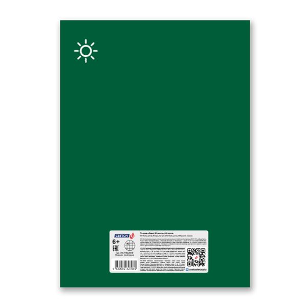 Тетрадь ученическая общая, A4 80 л. на скобе 65 г/м², белизна 100 %, 6 шт, клетка, 01348 Ясненько - понятненько, Светоч Т154