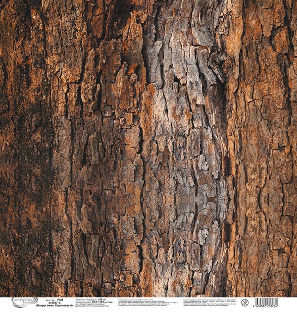 Бумага для скрапбукинга Вокруг меня. Коричневый 190 г/м², 30.5х30.5 см, 10 шт, 6, Mr.Painter PSR 210807