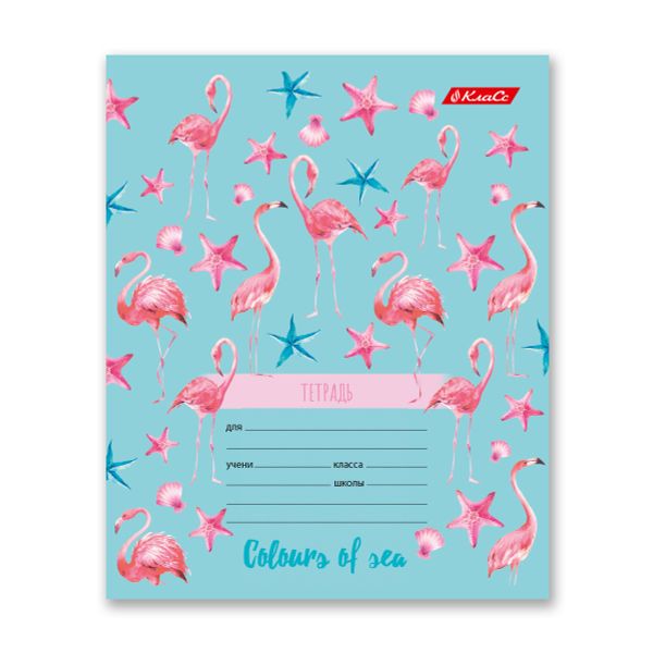 Тетрадь ученическая школьная A5+ 24 л. на скобе 65 г/м², белизна 100% 30 шт, клетка, 000375 Океания, Светоч 24ТСКд5_1_3_1