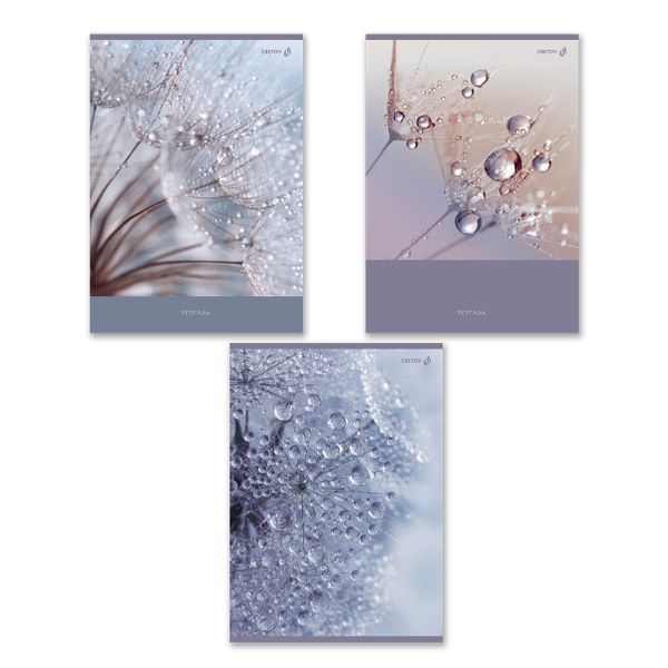 Тетрадь ученическая общая, A4 96 л. на скобе 65 г/м², белизна 100 %, 6 шт, клетка, 01351 Утренняя роса, Светоч Т156