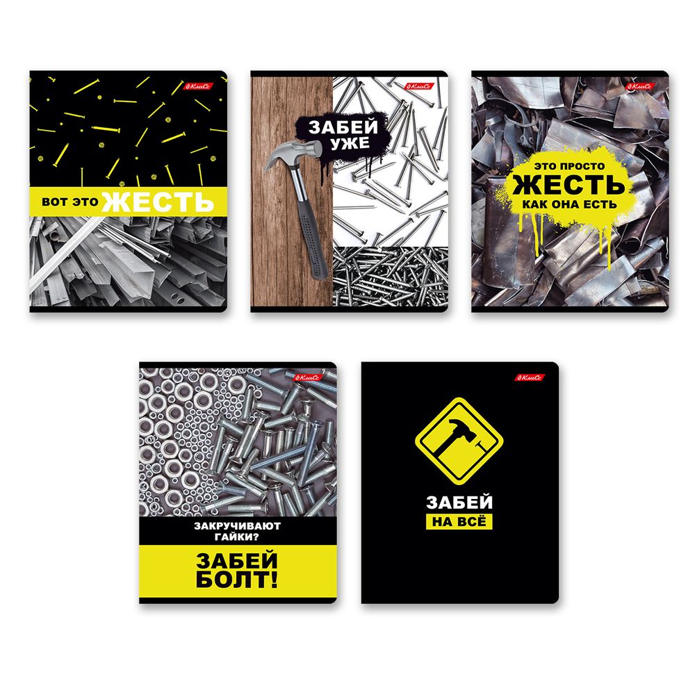 Тетрадь ученическая общая, твин лак, A5+ 60 л. на скобе 65 г/м², белизна 100%, 10 шт, клетка в термоусадочной пленке, 000480 Жесть, Светоч 60ТСК5_8_2_1