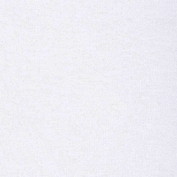 Футер 2-нитка петля поливискоза стрейч 220 г/м², 160 см / 3 метра, ФУТ2Х.TBY.ПЭ-ВИС.БЕЛ.3, цв.белый