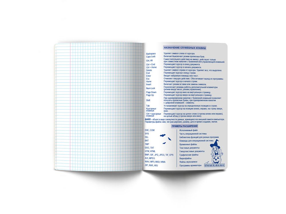 Тетрадь со справочным материалом Ковен тайных знаний, A5+ 48 л. на скобе 65 г/м², белизна 100%, 10 шт, клетка, 00861 Информатика, Светоч 48Т7