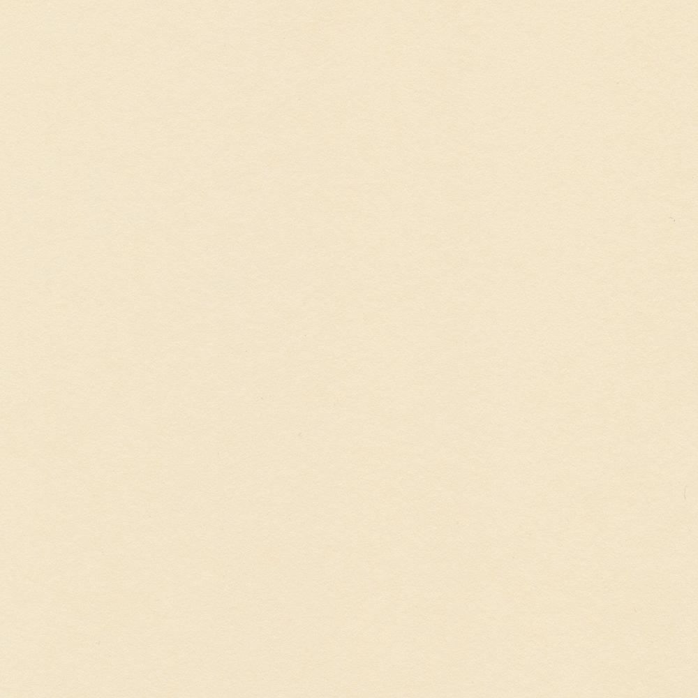 Бумага цветная 120 г/м², A4 21х29.7 см, 50 шт, 27 холодный кремовый/cool cream, Vista-Artista