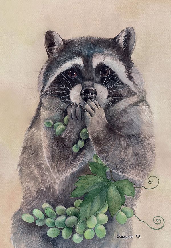 Пазл 500 элементов, Лакомка, PZL-500/13, Фрея