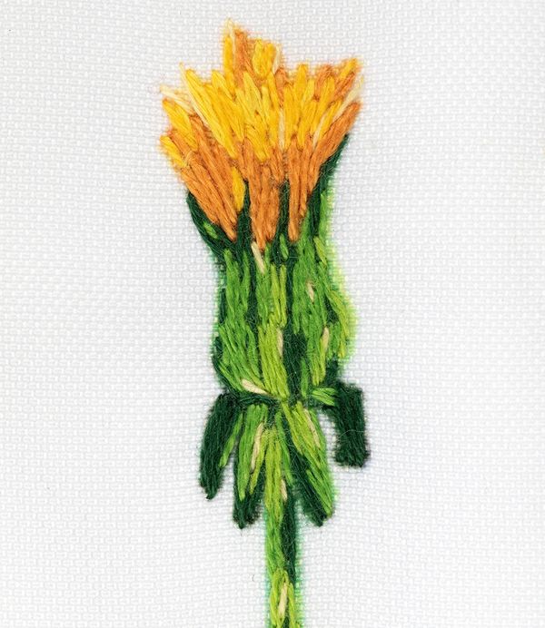 Набор для вышивания нитками Panna, Живая картина. Паттерн. Одуванчики, 24х30 см