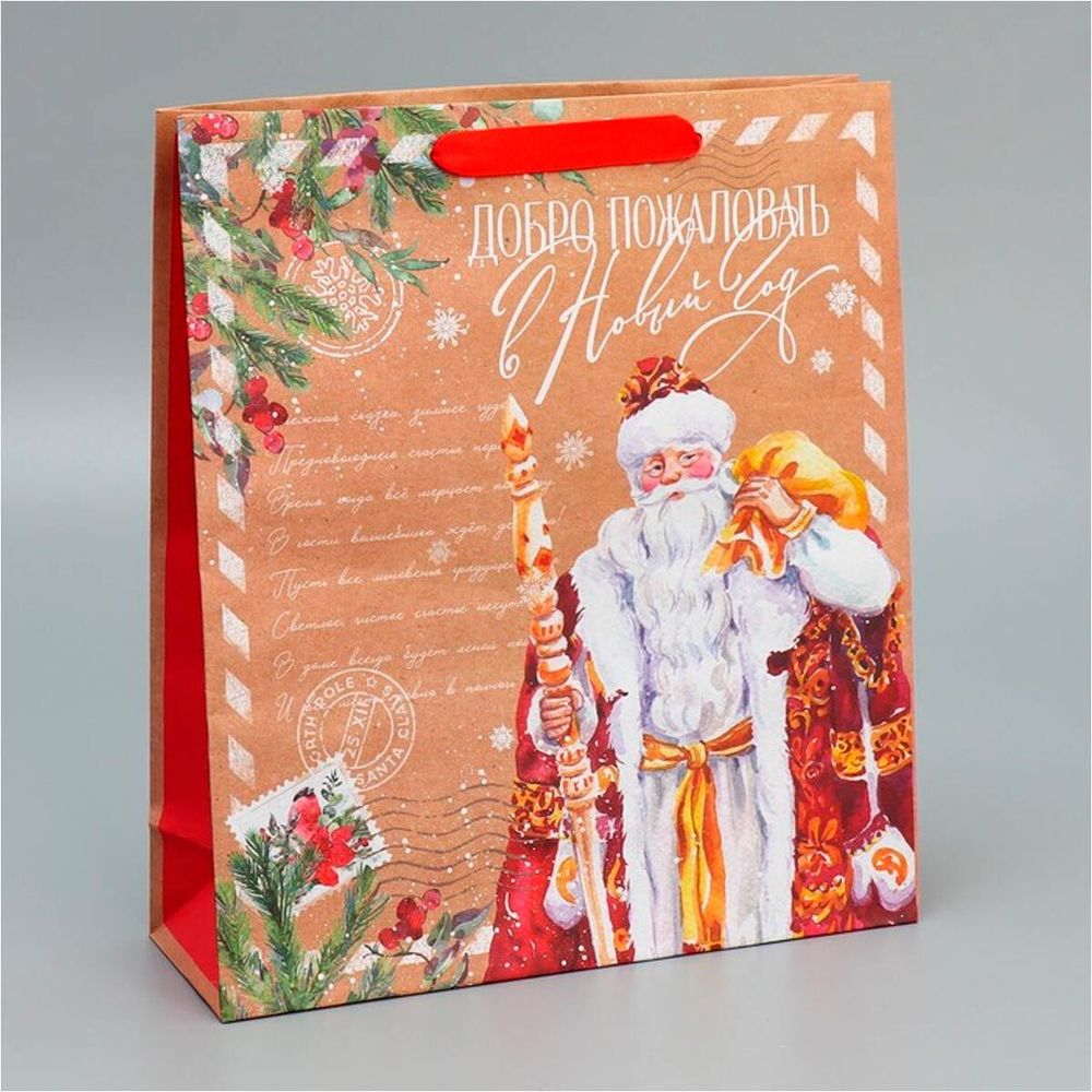 Пакет крафтовый вертикальный "Почта Деда Мороза", M 26х30х9 см, 9564907