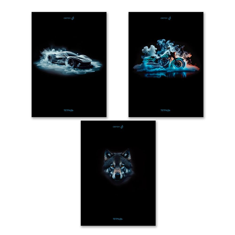 Тетрадь ученическая общая, A4 96 л. на скобе 65 г/м², белизна 100 %, 6 шт, клетка, 01353 Сила и скорость, Светоч Т156