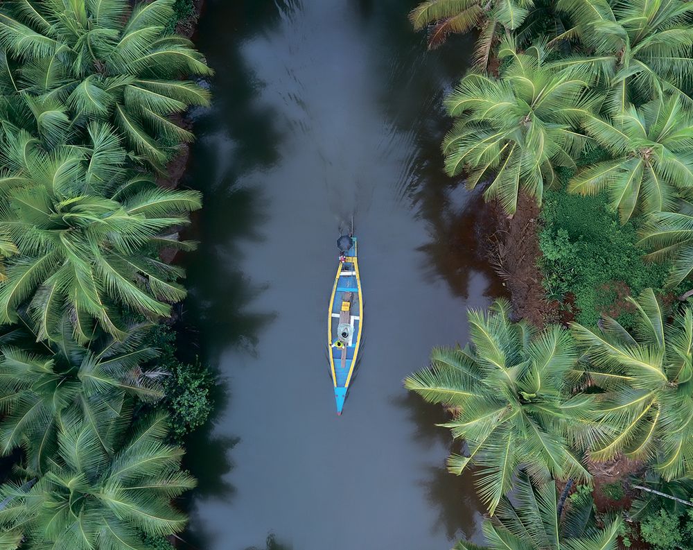 Картина по номерам Фрея PCF-29, на холсте с подрамником Тропическая тишина, 50х40 см