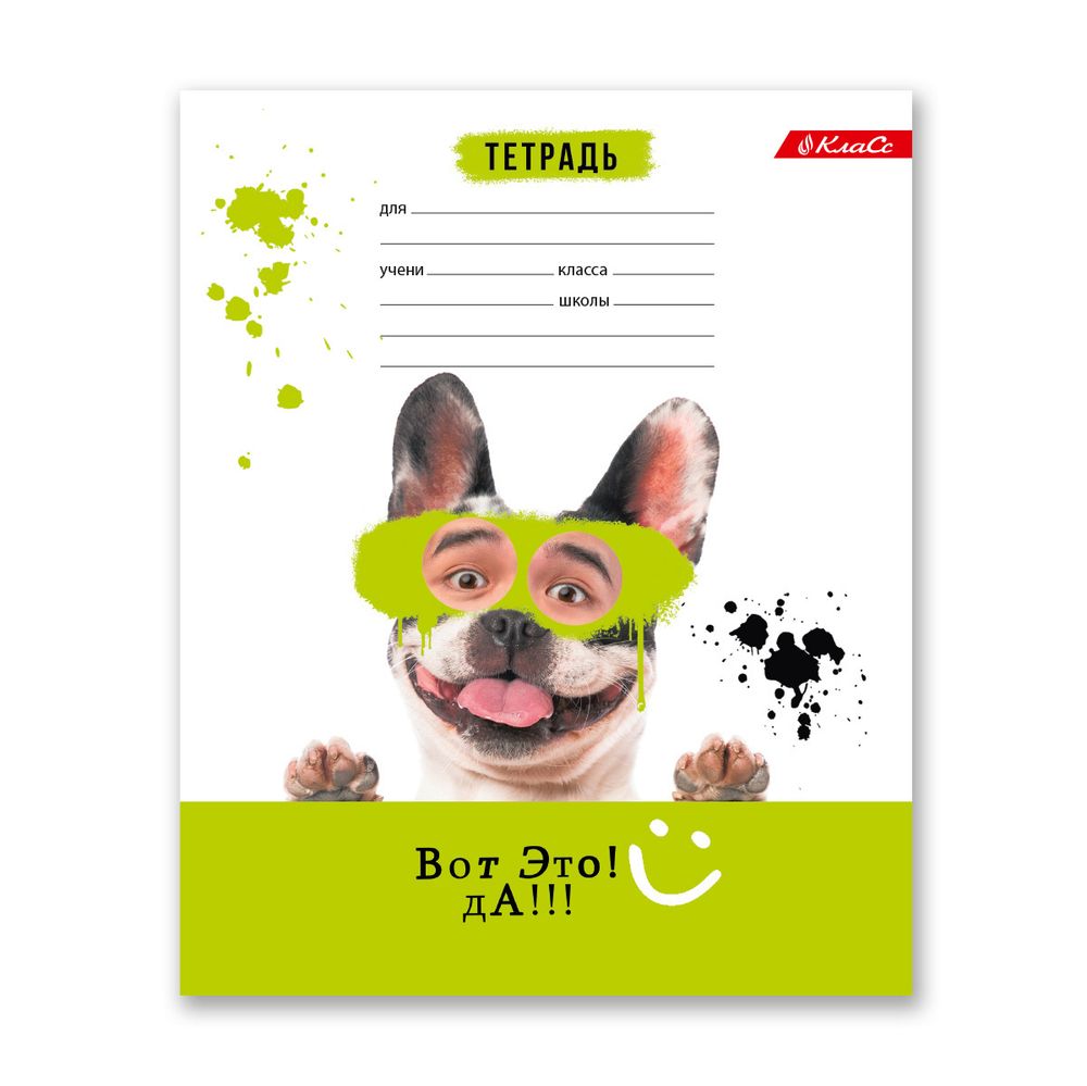 Тетрадь ученическая школьная, выборочный лак, A5+ 18 л. на скобе, 20 шт, клетка, 000366 Зверушки-веселушки, Светоч 18ТСКд5_4_3_1