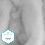 Утеплитель Сиберия Classic арт.РАД.54195 150г/м², шир.150см рул.35м каландрирован В65