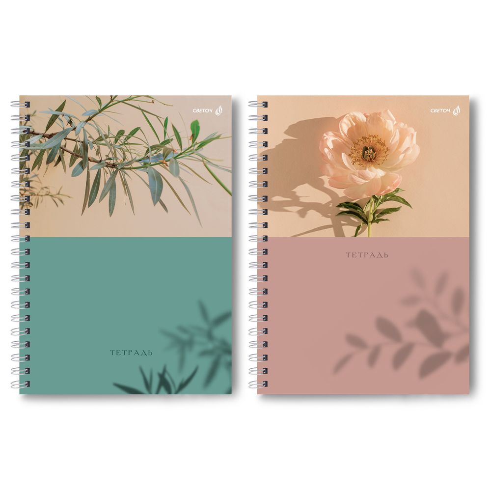 Тетрадь ученическая общая, A4 96 л. на гребне 65 г/м², белизна 100 %, 4 шт, клетка, 01245 Цветочные мотивы, Светоч Т129