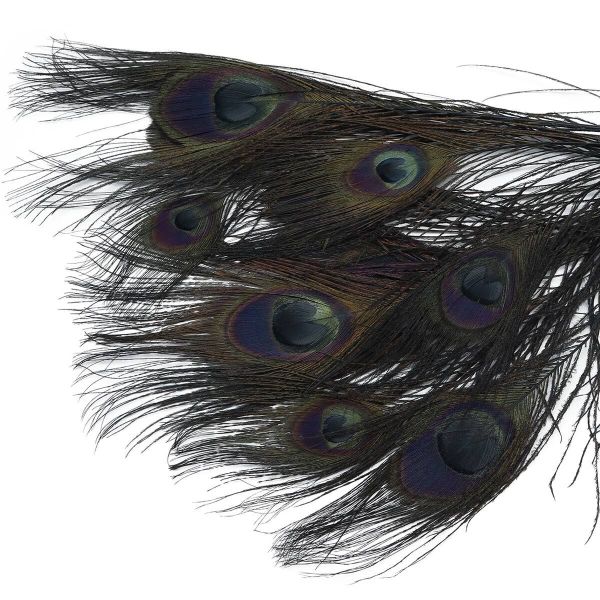 Перо павлина декоративное 25-30см, 10 штук (черный), AR204-2