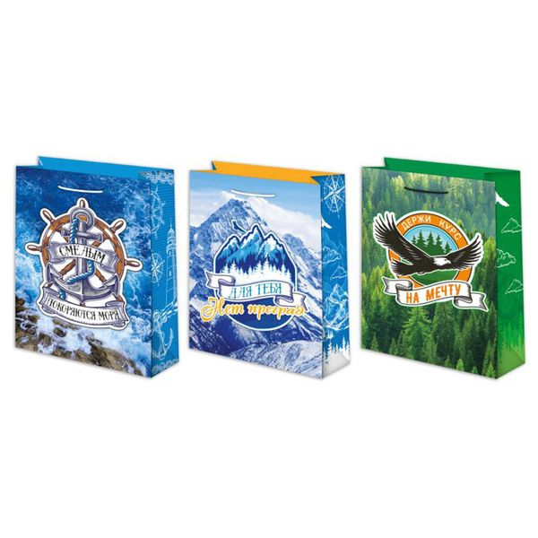 Пакет подарочный Мужской микс 22х31см, уп/12 шт, Ч42564