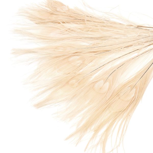 Перо павлина декоративное 25-30см, 10 штук (бежевый), AR204-2