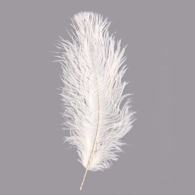 Перья страуса декоративные 20-25см, 10 шт в упак, белый