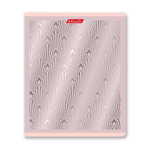 Тетрадь ученическая общая, матовая ламинация + тиснение серебряной фольгой, A5+ 48 л. на скобе 65 г/м², белизна 100%, 10 шт, клетка в термоусадочной пленке, 000743 Серебряная мечта, Светоч 48ТЕТк-007