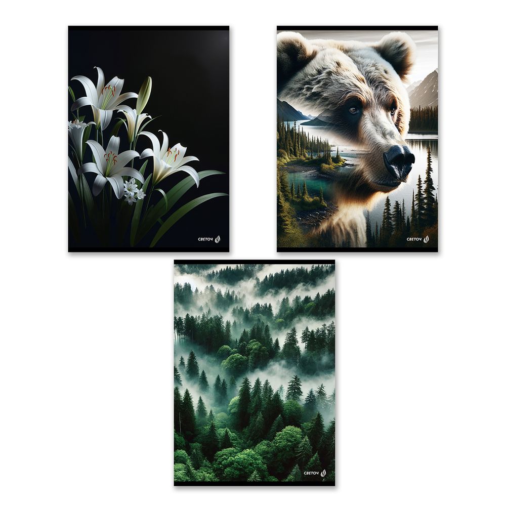 Тетрадь ученическая общая, A4 80 л. на скобе 65 г/м², белизна 100 %, 6 шт, клетка, 01347 Твой край, Светоч Т154