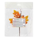 Веточка декоративная осенняя с ягодами 20 см, 3 шт, 01, Blumentag