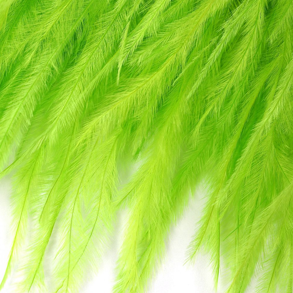 Перья на ленте Страус 8 см, FBY-08-086, цв. лайм, 2м