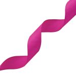 Лента репсовая (в рубчик) 25.0 мм, 016 фуксия, уп.18,28 м