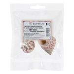 Ракушки декоративные, 3 шт, 6.3 см, Trochus Maculatus, Zlatka DRF-023