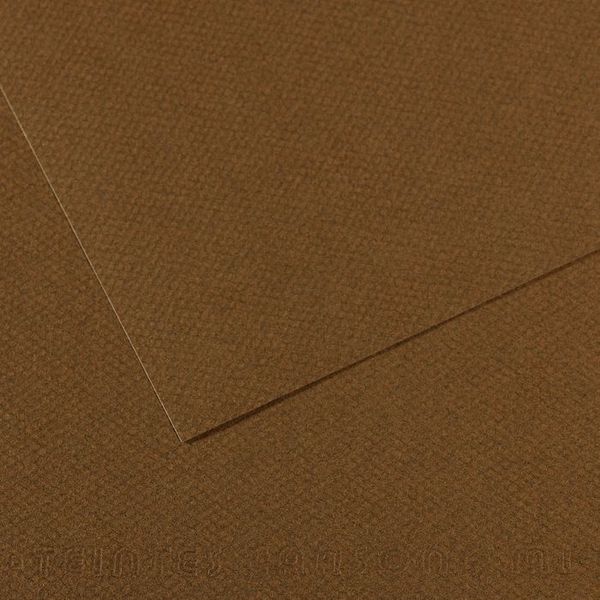 Бумага для пастели 160 г/м², 21х29.7 см, 25 листов, №501 Коричневый табак, Canson Mi-Teintes C31033S037